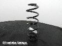 View Auto part Rear Coil Spring TOYOTA PRIUS 2018