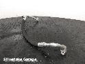 View Auto part A/C Hoses MERCEDES CLA 2015