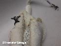 View Auto part R Air Bag LAND ROVER RANGE ROVER EVOQUE 2015